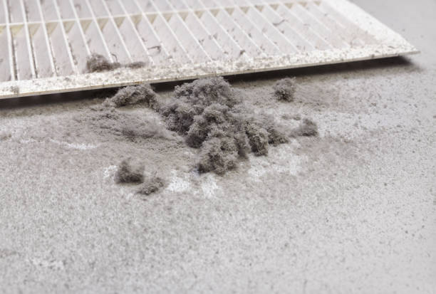 Best Affordable Duct Cleaning Services  in Flower Hill, MD